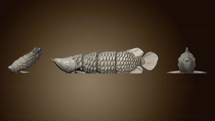 Articulated Flexi Arowana