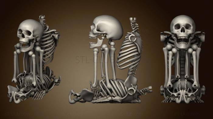 3D model Articulated Skeleton (STL)