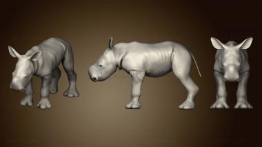 3D model Baby White Rhino Animal static pose (STL)