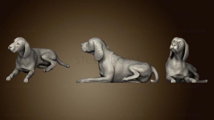 3D model Beagle laying down intended for (STL)