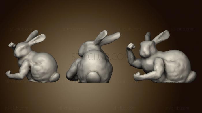 Beefy Bunny Without Front Legs