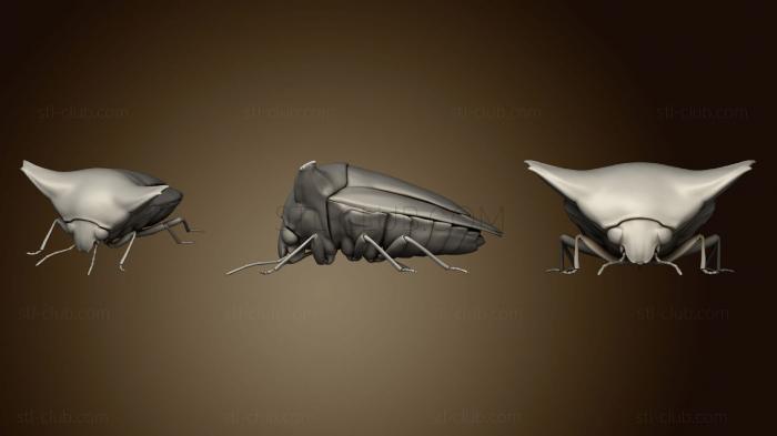 3D model Beetle 10 001 (STL)
