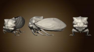 3D model Beetle 14 002 (STL)