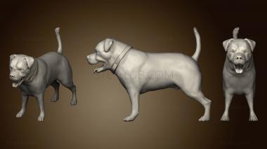 3D model Black dog (STL)