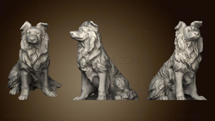 3D model Border Collie smoothed (STL)