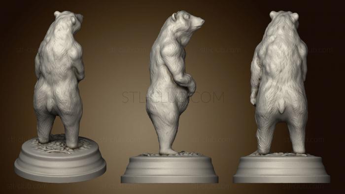 3D model Brown Bear (Ursus Arctos) (STL)