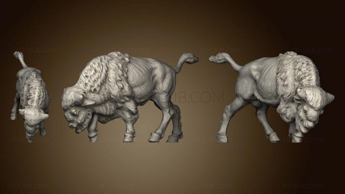 Buffalo 3D