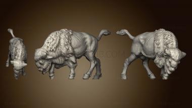 3D model Buffalo 3D (STL)