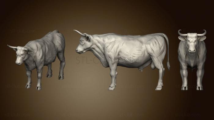 3D model Bull Full Body (STL)