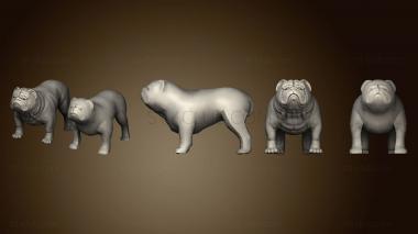 3D model Bulldog 3 (STL)