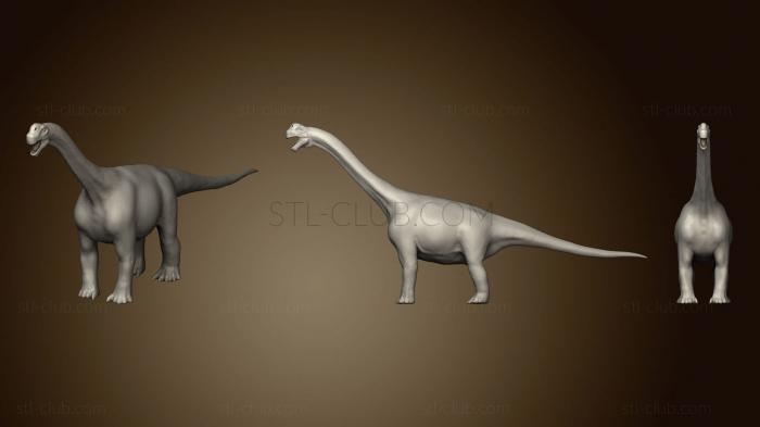 Camarasaurus 2 7