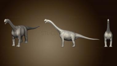 3D model Camarasaurus 2 7 (STL)