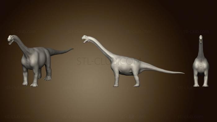 Camarasaurus 6