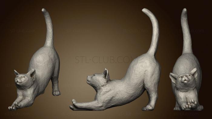 3D model Cat Stretch (STL)