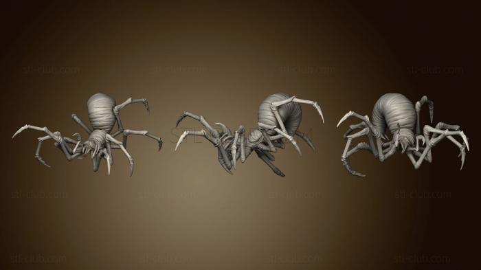 3D model Cave Spider 1 (STL)