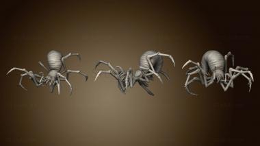 3D model Cave Spider 1 (STL)
