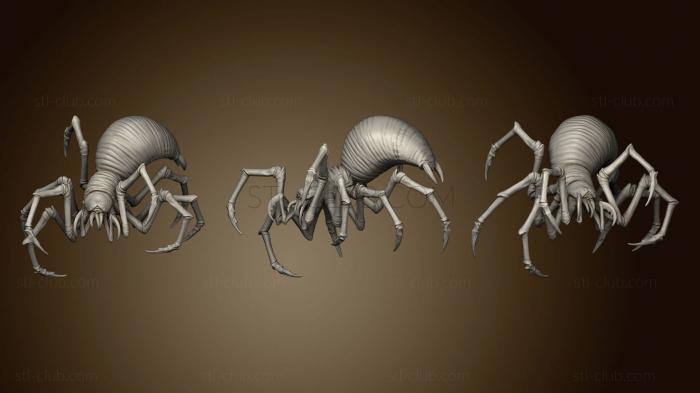 3D model Cave Spider 2 (STL)