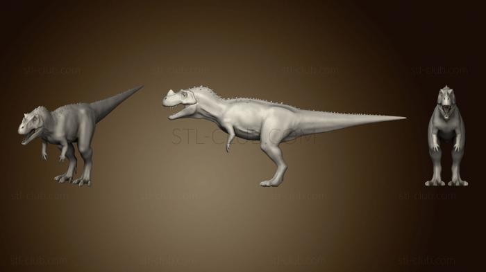 Ceratosaurus 16