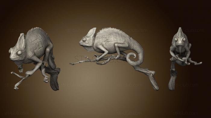 Chameleon Sculpt