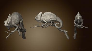 3D model Chameleon Sculpt (STL)