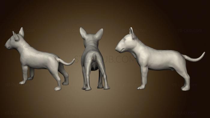 3D model Chien bull terrier v2 (STL)
