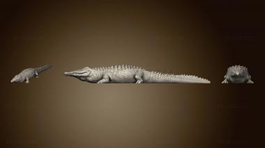 3D мадэль Полное тело крокодила грубое (STL)