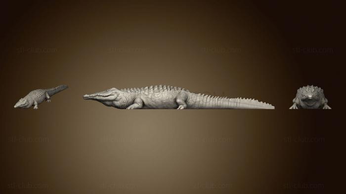 3D модель Грубое полное тело крокодила (STL)