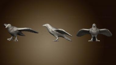 3D model Crow Open Wings (STL)