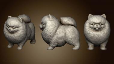 3D model Cute Pomerranian (STL)