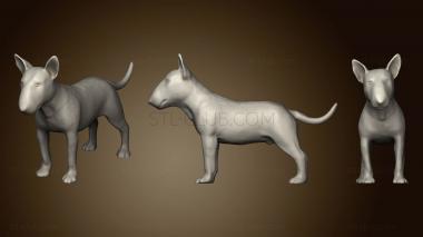 3D модель Собака бультерьер (STL)