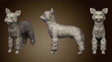 3D model Dog Yorkshire Brit II (STL)