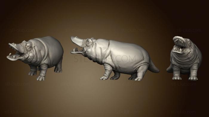 3D model Duck Billed Platypotamus (STL)