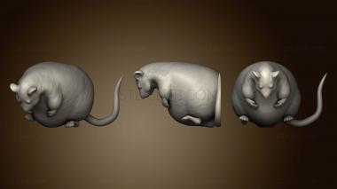 3D мадэль Дамбо-Крыса И Хомяк (STL)