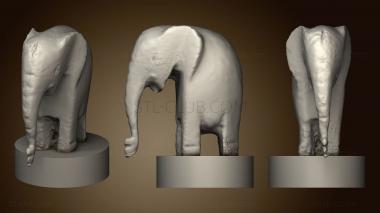 3D модель Слоновий финик1 v1 (STL)