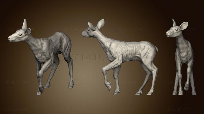 Fawn Posed Rough 2 2