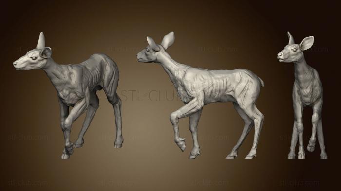 3D model Fawn Posed Rough 2 (STL)