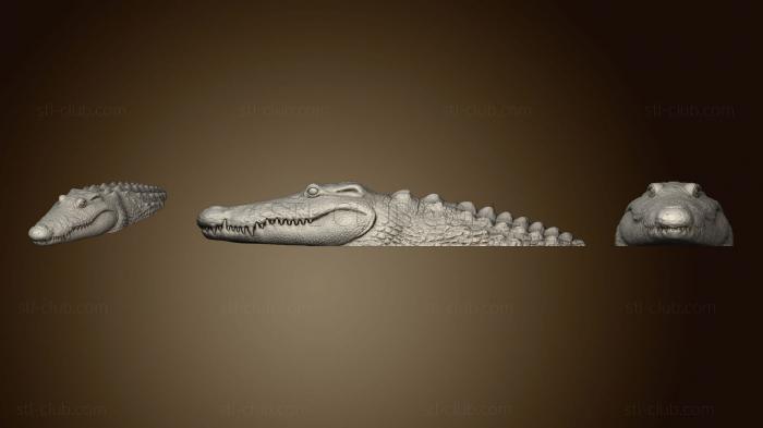 3D модель Гноящийся Болотный Крокодил (STL)