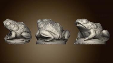 3D model Fountain Toad (STL)