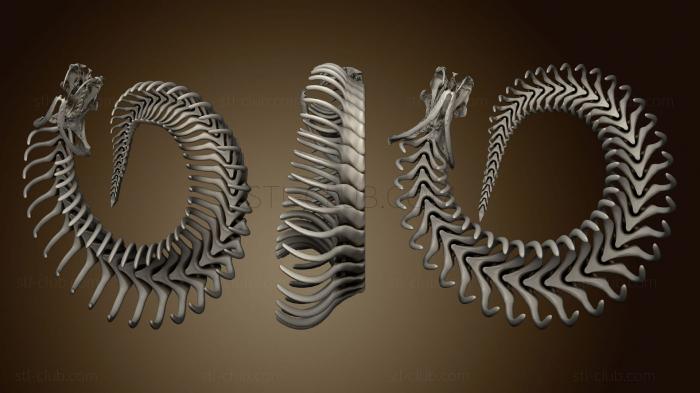 3D мадэль Сочлененный Скелет Габонской гадюки (STL)