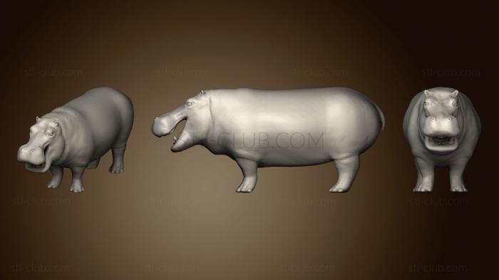 3D model Hippopotamus Game Ready (STL)