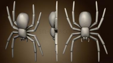 3D model House Spider Refixed (STL)