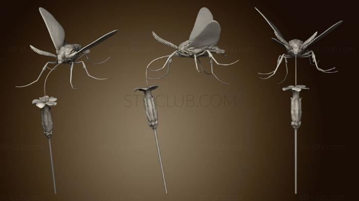 3D model Hummingbird Hawk Moth 2 2 (STL)