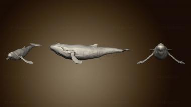 3D модель Горбатый кит 2 99 (STL)