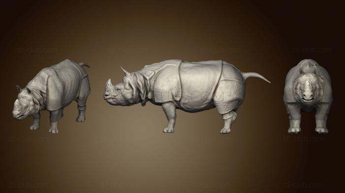 Indian Rhinoceros Sculpt