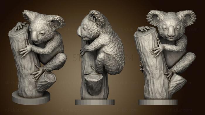 3D model Koala 01 Animal (STL)