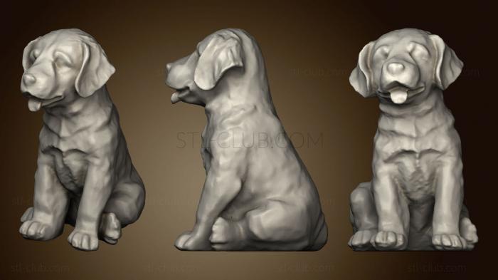 3D model Labrador Puppy (STL)
