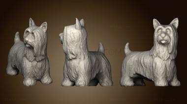 3D model Long Haired Terrier (STL)