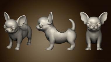 3D model Maceta chihuahua Larive (STL)