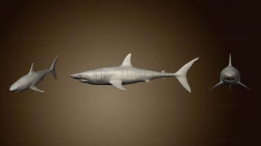 3D model Mako Shark (STL)