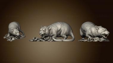 3D model Maks the Giant Rat Tabletop Miniature (STL)